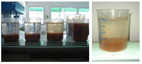 coagulation