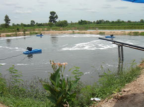 Aerated Lagoon
